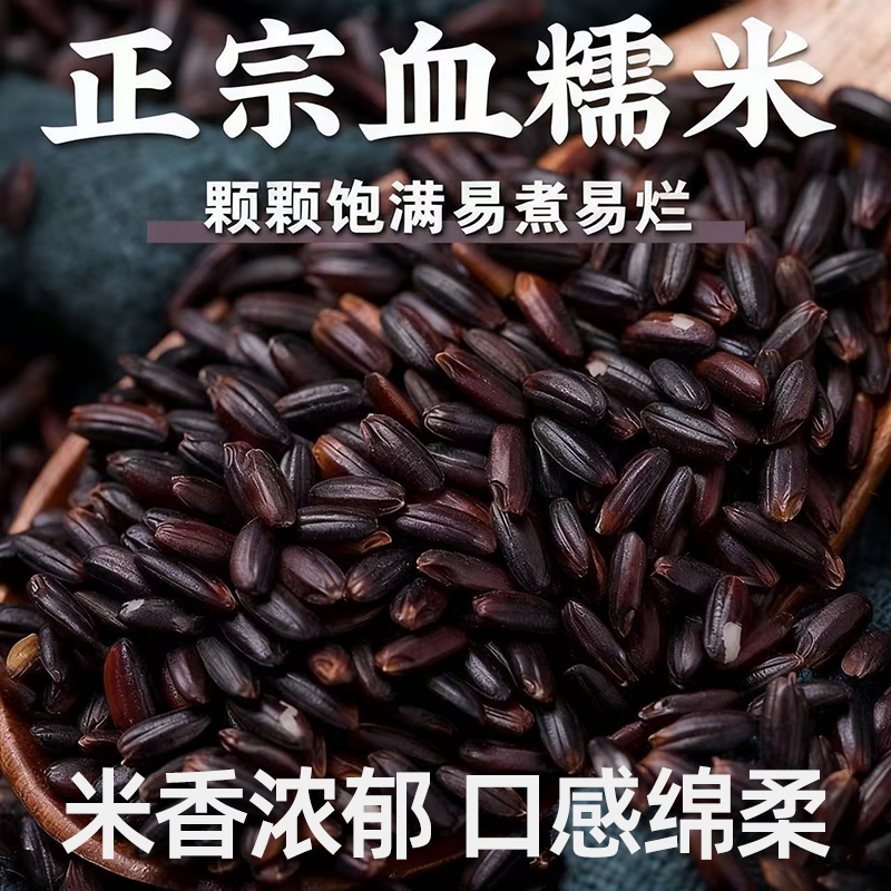 东北农家自产黑糯米新血糯米软糯香甜颗粒均匀易煮易烂煮饭搭档