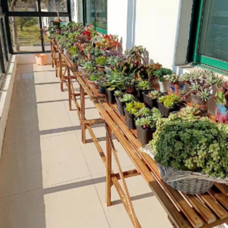 阳台创意实木隔板花架置物架庭院防腐碳化风格多肉花盆架新款包邮