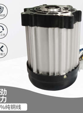 定做48v60v72v1500w3000w大功率直流无刷电机改装配件电动三轮车