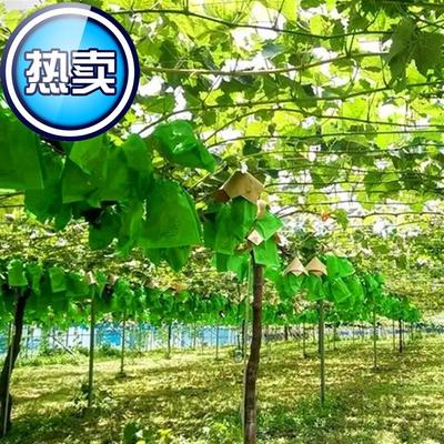 葡r萄套袋全木浆白纸袋防雨水防鸟虫果袋露天莲雾葡萄专用袋子