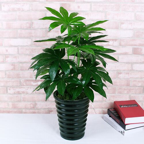 仿真发财树 假树假花客厅装饰塑料绿植P落地仿真树盆栽盆景