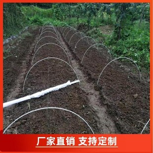 拱杆花棚伸缩杆玻璃纤维棒大棚内支架E耐用避雨棚种花。暖棚小棚