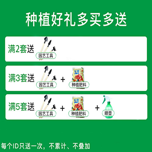 霍仑盆塑料花盆挂架长方形挂式悬挂阳台栏杆种菜神器家庭长条花槽