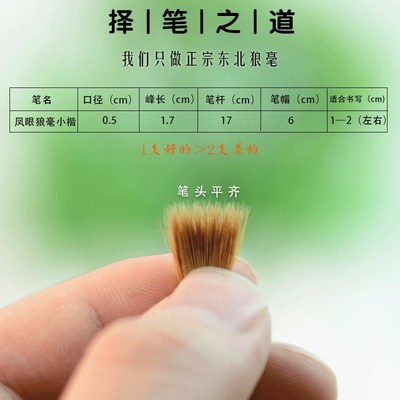 蜀乐文房 狼毫小楷毛笔纯狼毫小号小楷毛笔蝇头抄经毛笔小楷老凤