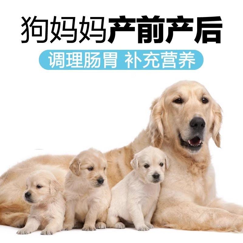 全犬种狗粮40斤母狗产前产后下奶粮孕期哺乳期牛肉营养大包装80斤,宠物/宠物食品及用品,狗全价冻干粮,淘宝优惠券,粉丝福利购,淘宝优惠卷