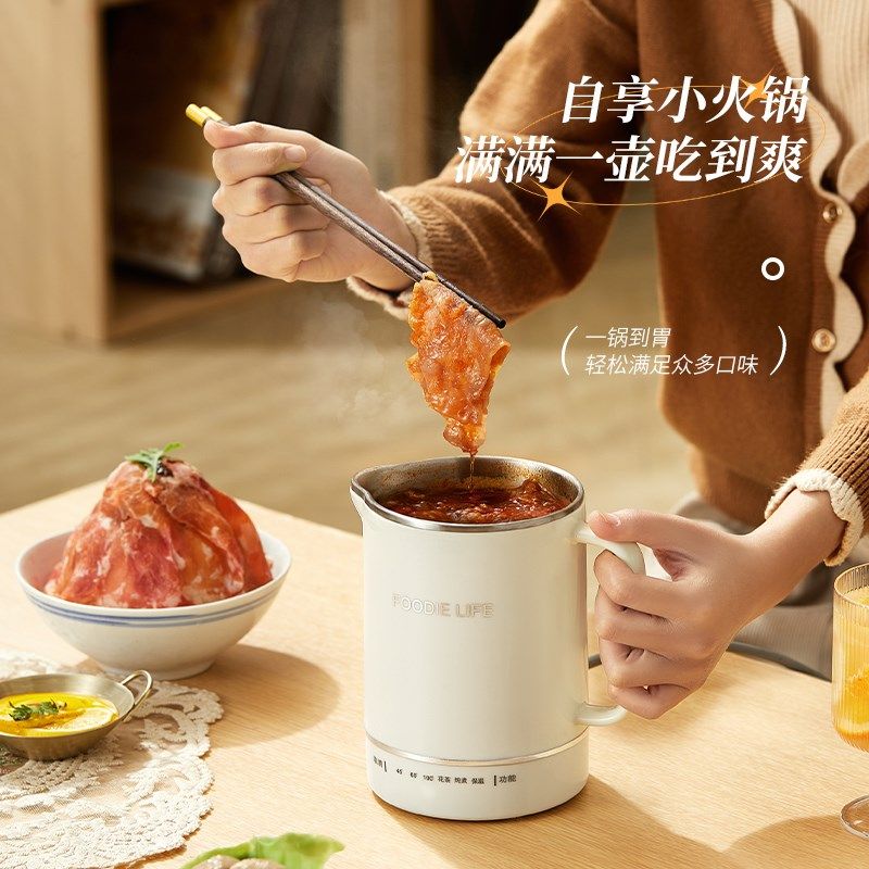 旅行养生壶一体炖煮烧水杯迷你小型办公室养生杯宿舍学生一人用