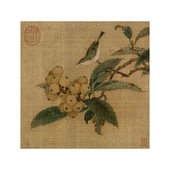 南宋林椿枇杷山鸟图高清艺术微喷宋代花鸟画工笔临摹画稿学习底稿