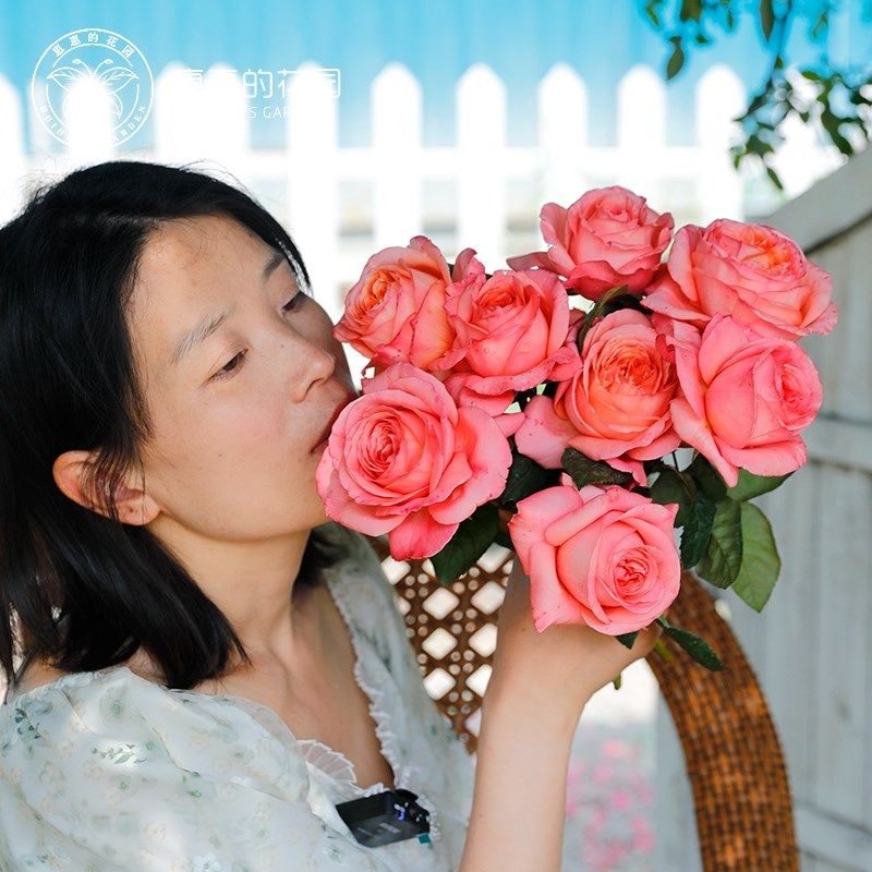 惠惠的花园切花月季伦敦眼奥斯汀花型大花庭院阳台盆栽玫瑰花苗,鲜花速递/花卉仿真/绿植园艺,月季/蔷薇/玫瑰,淘宝优惠券,粉丝福利购,淘宝优惠卷