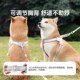 背心式 狗狗牵引绳小型犬泰迪比熊博美胸背带狗狗幼犬遛狗绳狗链子
