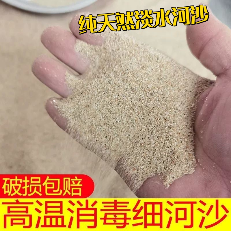 纯天然消毒干细河沙种花