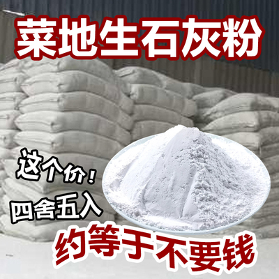 生石灰粉10斤干燥杀菌消毒除湿防