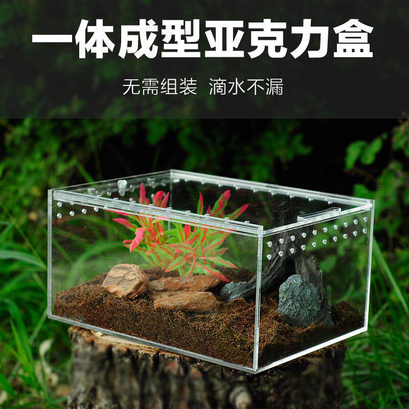 爬宠亚克力饲养盒爬虫宠物守宫箱蜗牛蜥蜴角蛙蛇蜘蛛生态螳螂缸