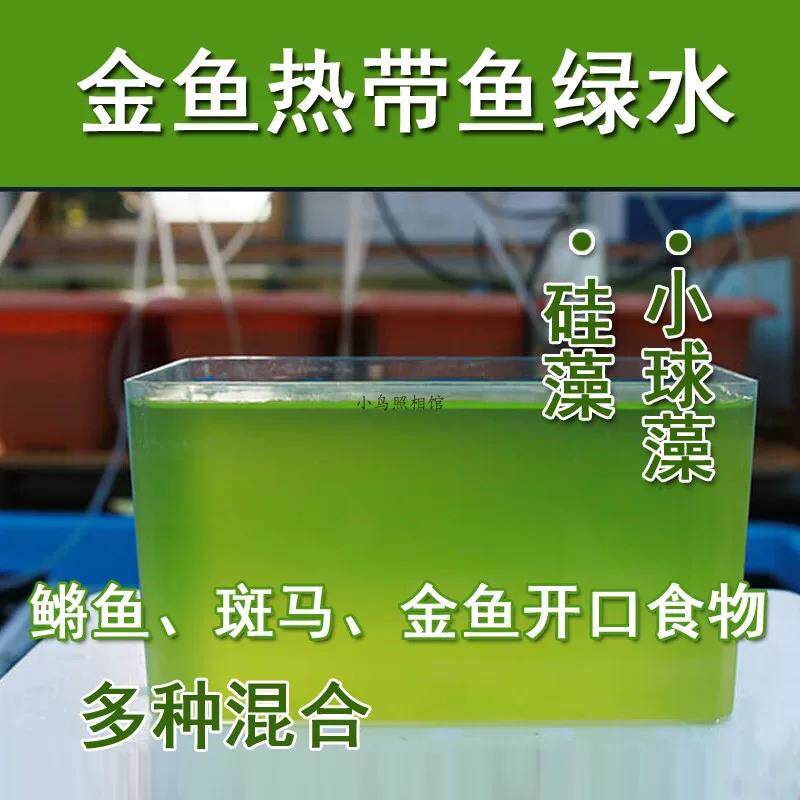 小球藻藻种水产养殖鱼虾蟹浓缩藻种复合低温卵囊藻肥水膏培藻增氧