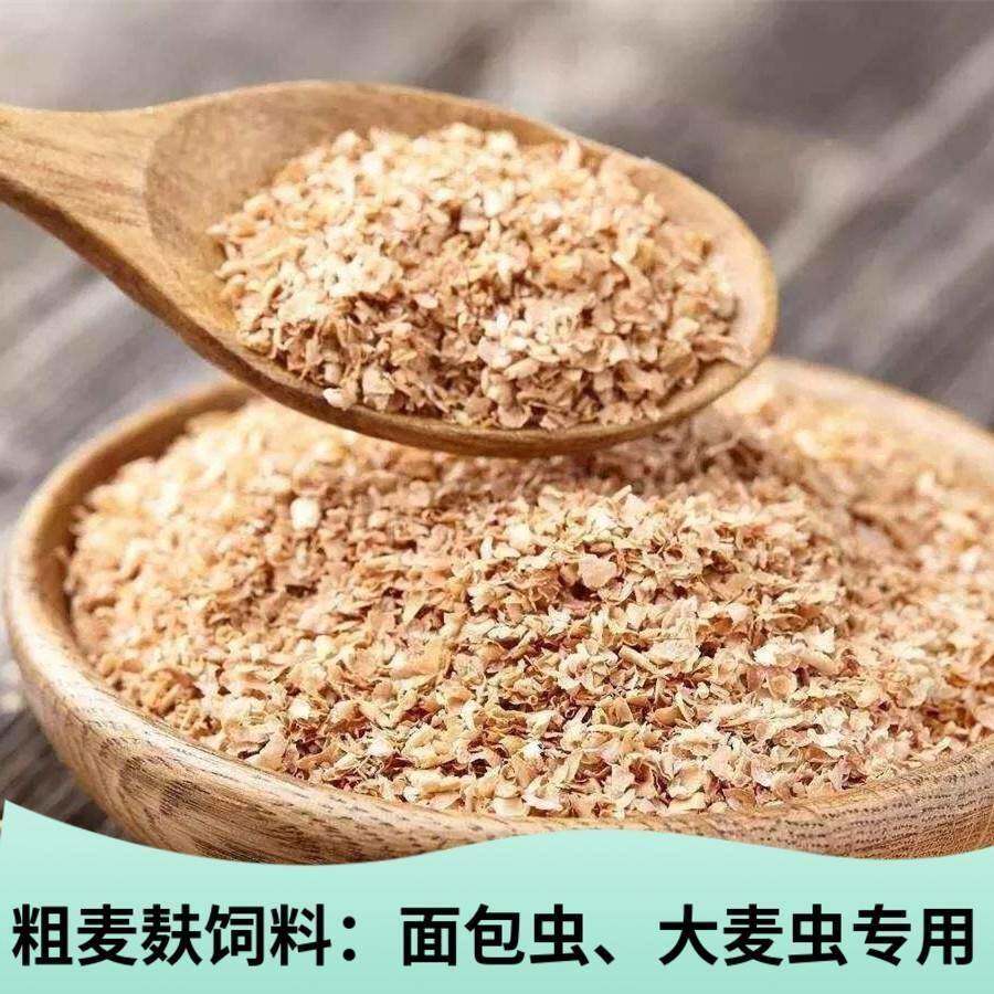 麦麸粗糠饲料诱饵面包虫麦子鲜麦黄粉虫热敷麦皮钓鱼打窝大麦虫鸡