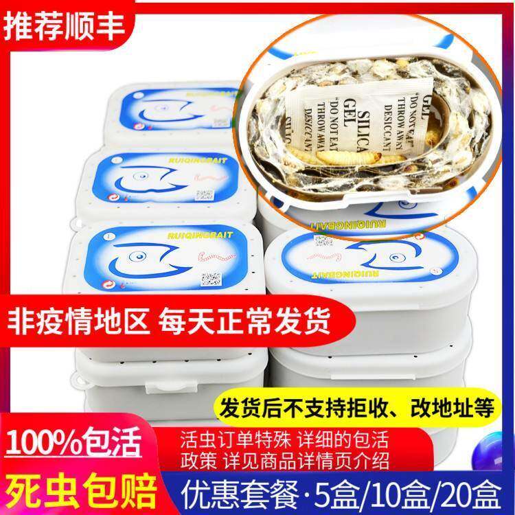 葡萄蜜虫活体玉米虫活虫守宫蜜袋鼯大蜡螟幼虫钓鱼钓饵鸟粮活饵虫