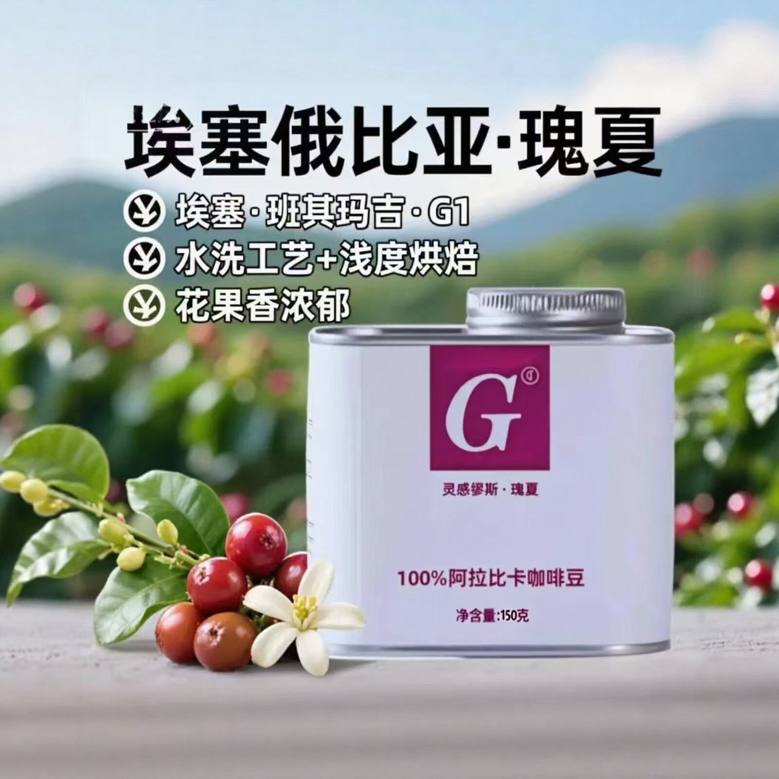 埃塞俄比亚G1瑰夏咖啡豆浅度烘焙熟豆优质手冲咖啡豆精品咖啡豆