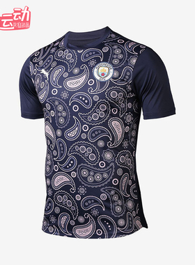 Puma/彪马正品2025男士日常圆领套头耐穿透气足球短袖758030-09