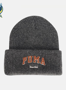 Puma/彪马正品2025年夏季男女运动保暖经典休闲针织帽027233-01