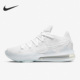 耐克正品 篮球鞋 LeBron Nike LBJ詹姆斯17男士 CD5007 103