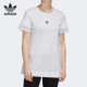 Tee女子休闲运动短袖 Adidas Tulle 三叶草 T恤GK3660 阿迪达斯正品