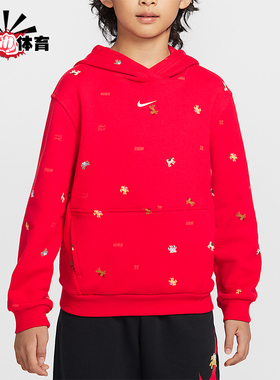 Nike/耐克正品春季款大童休闲连帽套头刺绣运动卫衣IR0097-657