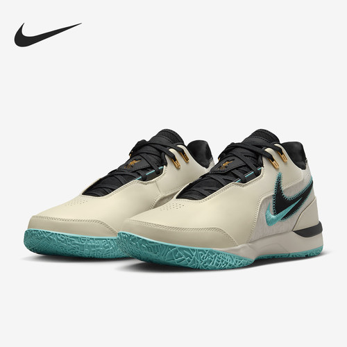 Nike/耐克正2024春季新款男士缓震实战运动篮球鞋FJ1567-101