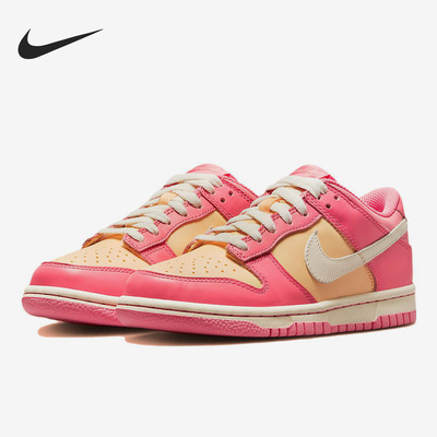Nike/耐克正品DUNK LOW女子GS大童休闲低帮板鞋DH9765-200