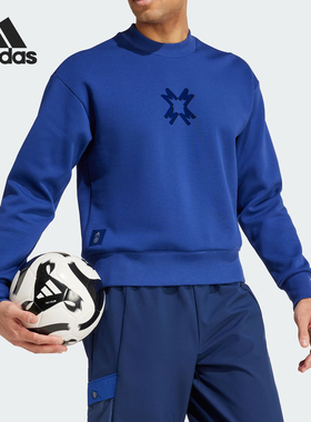 Adidas/阿迪达斯正品时尚男士圆领经典简约日常卫衣IT4191