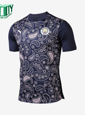 Puma/彪马正品2025男士日常圆领套头耐穿透气足球短袖758030-09