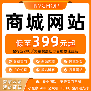 中小企业自营商城网站搭建外贸独立站多语言网页模板电脑网站开发