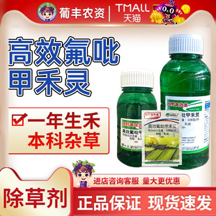 胜邦绿野高效盖 氟呲甲禾灵冬油菜田一年生禾本科杂草农药除草剂