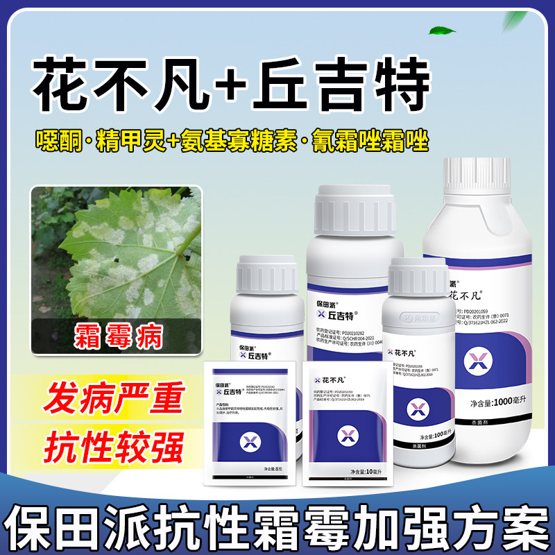 抗性霜霉病关键期方案杀菌剂