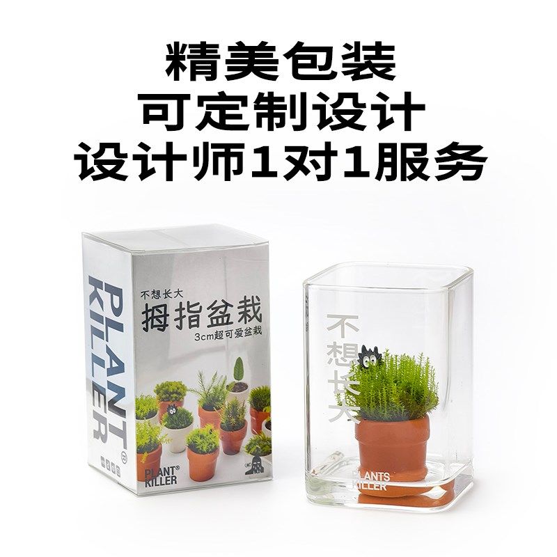 就是不想长大/拇指苔藓盆栽/植物杀手/微景观办S公室桌面陪伴摆件
