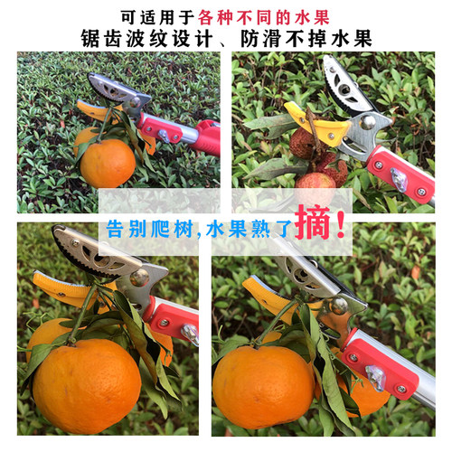 日式伸缩高枝剪摘果器高空v剪摘果剪修枝剪高空锯柿子摘枇杷荔枝
