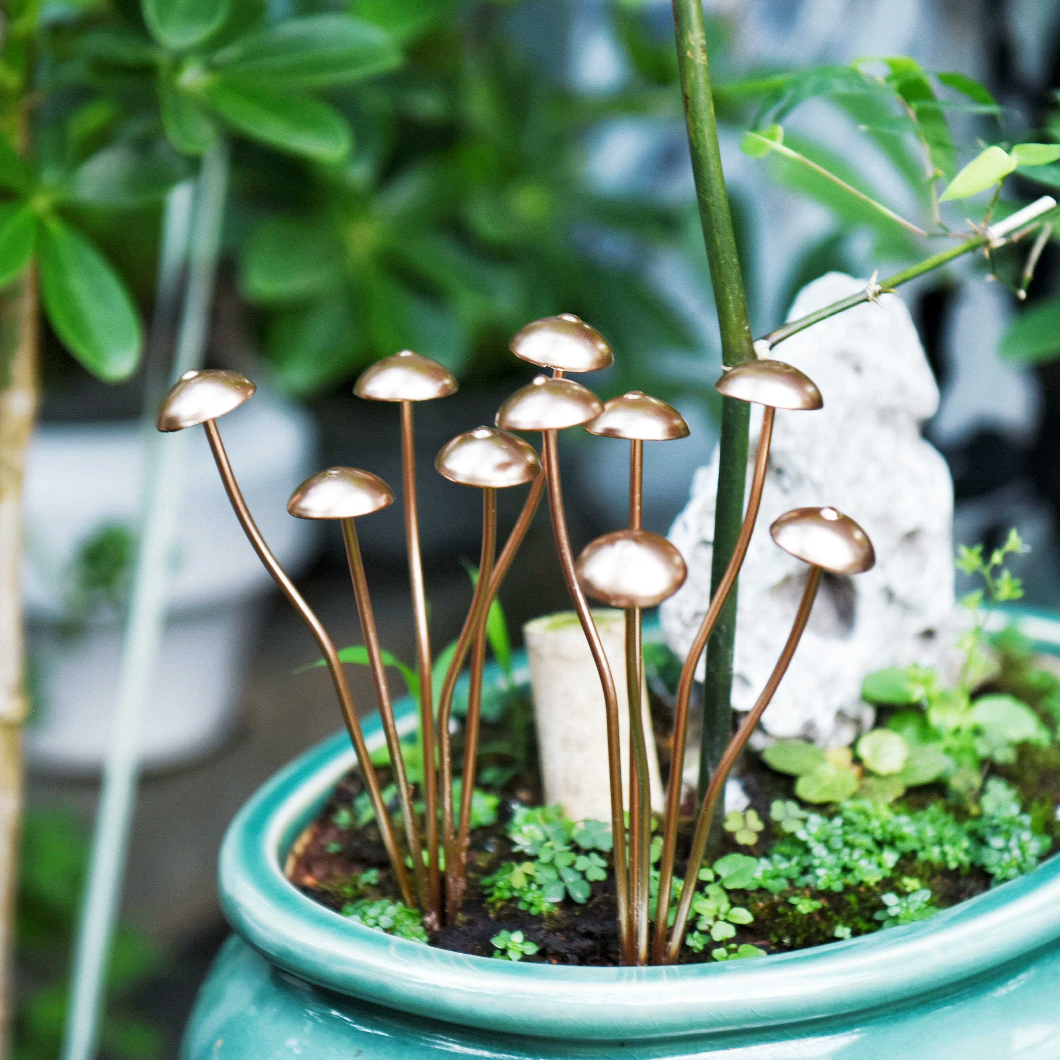 蘑菇金属花盆装饰艺小摆件多肉植微景观园艺造铁景地插拍摄道绿具