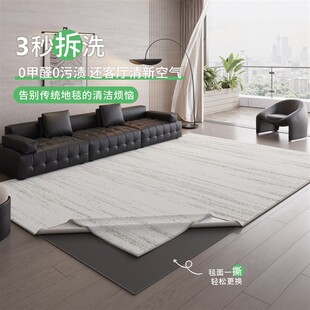 可拆洗地毯客厅轻奢高级感意式防污耐脏易打理隔音家用沙发茶几垫