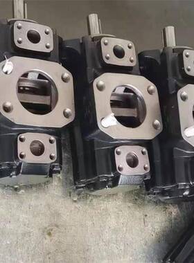 T67CB-031-B07,T67CB-031-B06价格 注塑机油泵 叶片泵