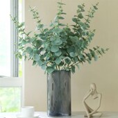 尤加利鲜花水培鲜切枝观叶植物家庭花艺室内桌面瓶插花满室清香