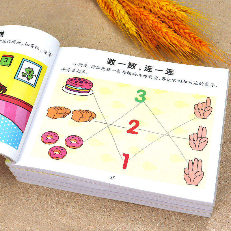 宝宝幼儿儿童2-6岁黄金期左右脑大开发逻辑思维训练益智幼儿启蒙