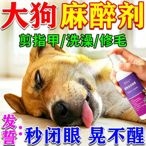 狗狗麻醉镇定剂快速睡眠强力情绪安抚防狗乱叫咬宠物镇静安睡神器