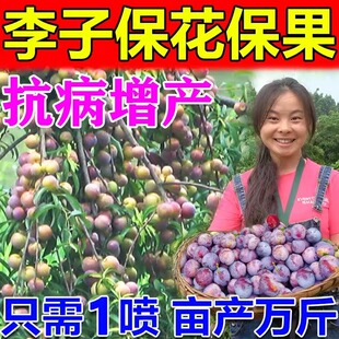 李子保花保果药专用肥料果树防落裂果增甜膨大素剂授粉坐果精神器