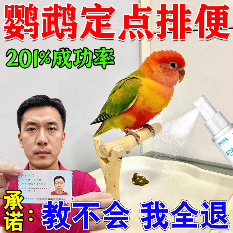 鹦鹉定点排便神器诱导剂鸟类玄凤鹦鹉八哥防止乱拉屎尿上厕所诱便