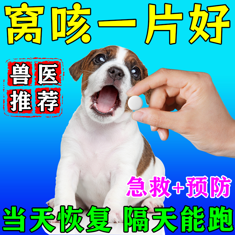 窝咳净犬窝咳特效专用药狗狗咳嗽干呕小狗感冒流鼻涕药犬窝咳克星