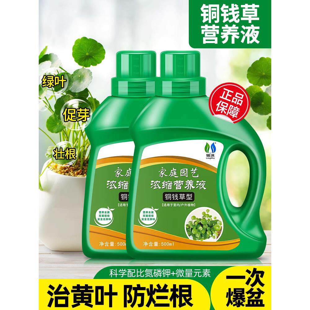铜钱草专用营养液家用阳台盆栽通用型氮磷钾液体肥料治黄叶防烂根