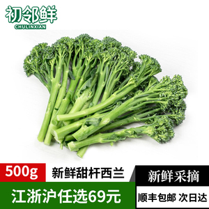 宁夏甜杆西兰苔500g 新鲜西兰花手指西兰花苔 青花苔 顺丰速运
