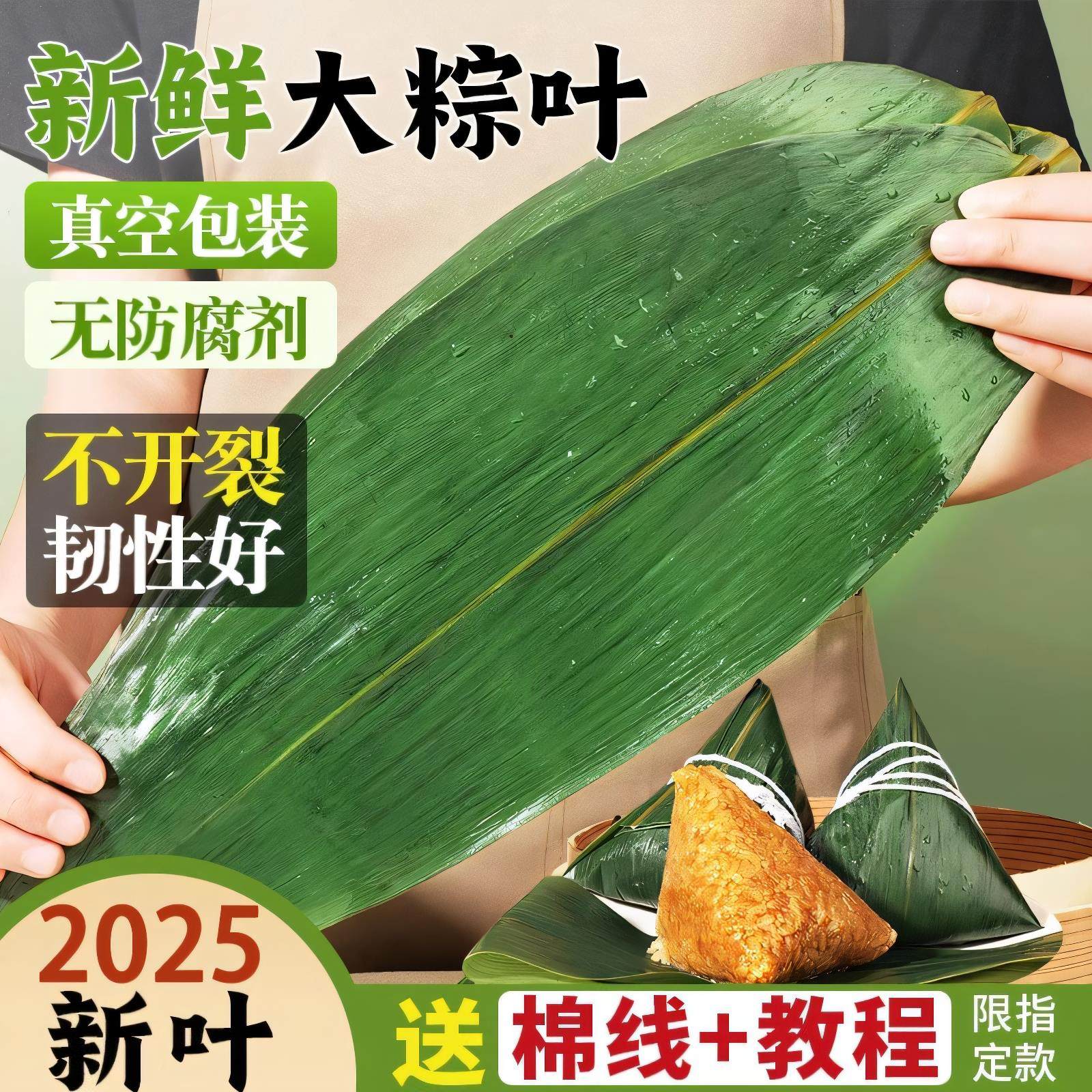鲜粽叶包粽子的大粽子叶新鲜大码粽叶箬叶家用干竹棕叶干粽叶