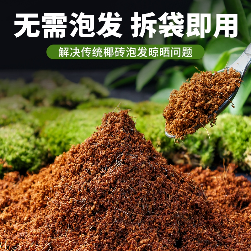现货速发免泡发椰土乌龟爬宠通用冬眠用品过冬保暖苔藓垫材椰砖营