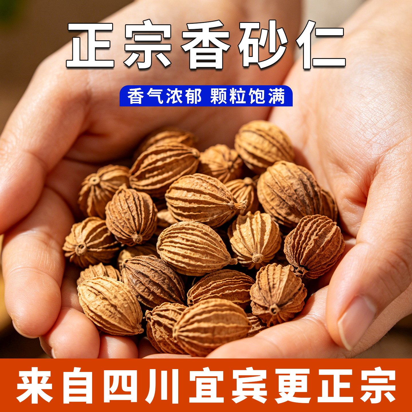 四川香砂仁香料沙仁500g砂黄金砂仁特产炖肉卤菜调料大全无硫散装