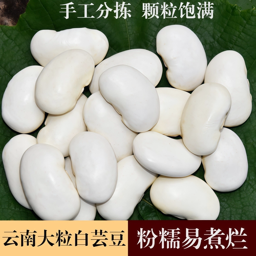 颗粒饱满天然原豆肉质绵密干净无杂餐前食用