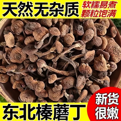 东北纯野生榛蘑丁特级干货农家小鸡炖蘑菇山货特产营养干蘑菇菌菇